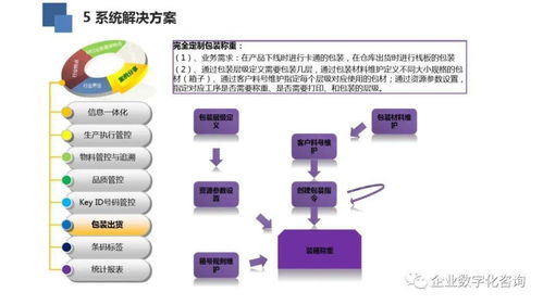 高科技電子行業數字化工廠案例與軟件技術交流